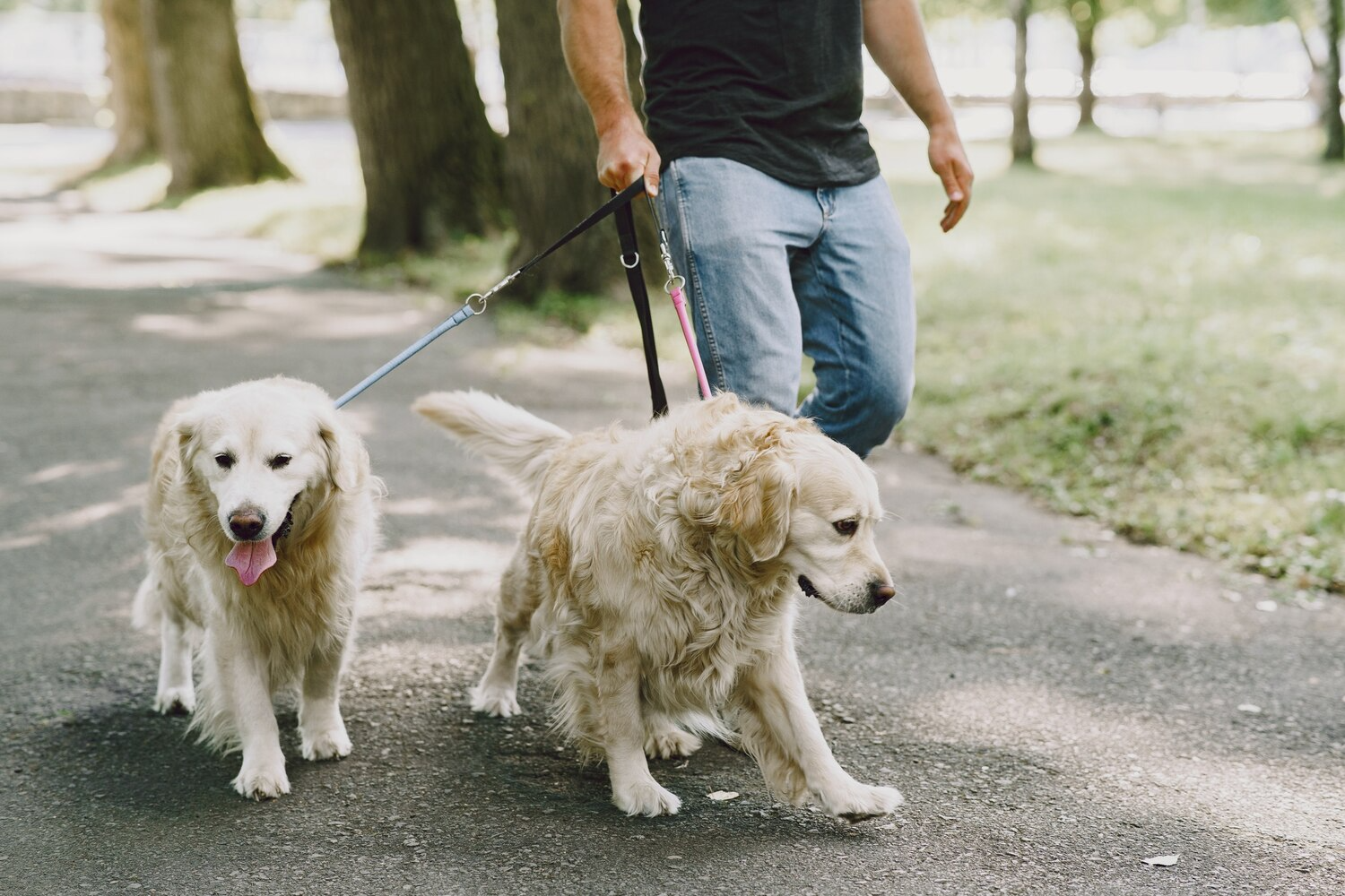 Making Every Walk Comfortable and Enjoyable